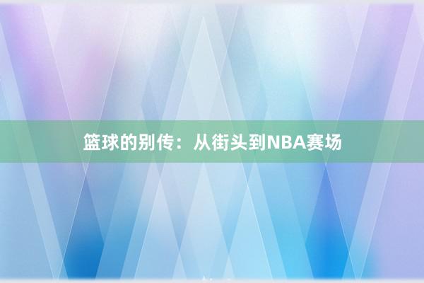 篮球的别传：从街头到NBA赛场